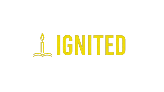 Ignited Education Consultant logo
